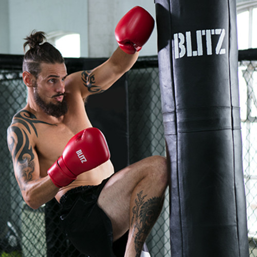 Punch Bags