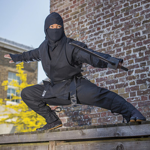Ninjutsu
