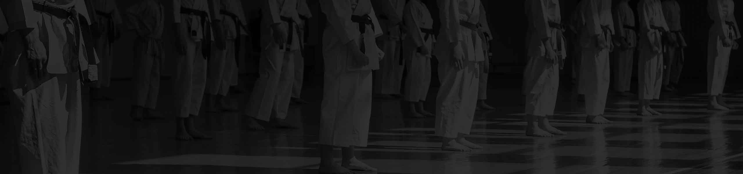 Blitz Newsletter